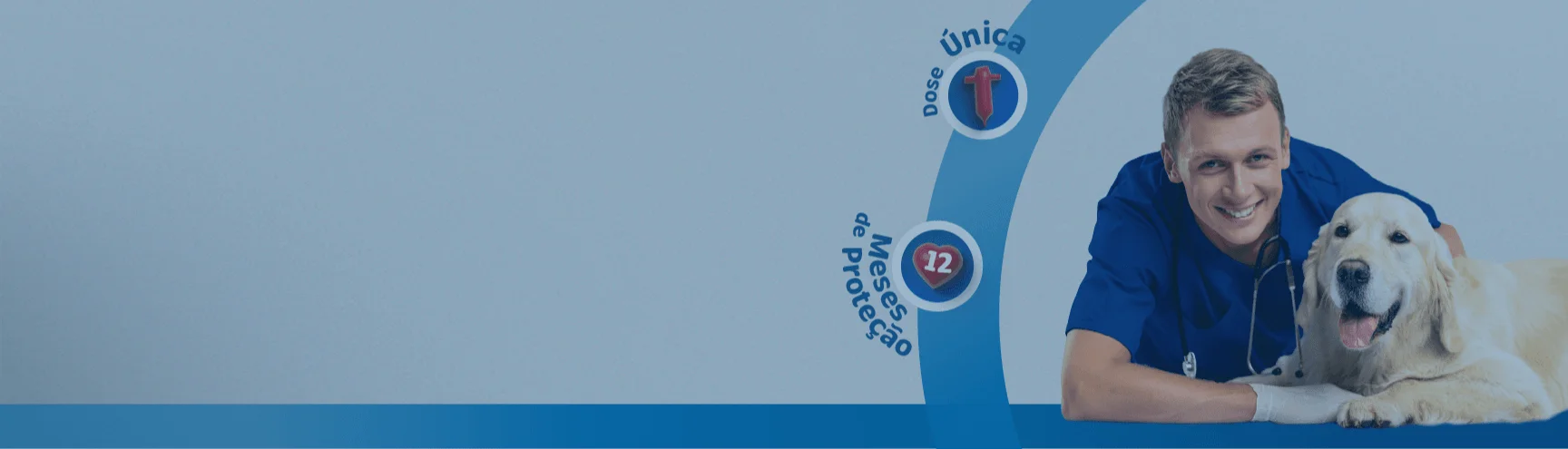 Campanha Santa Vida Verme do Coração