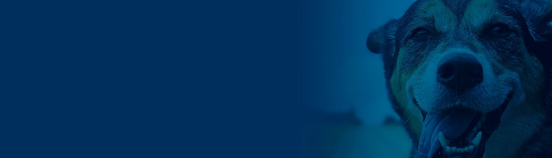 Conheça a Unidade Santa Vida mais Prócima de Você