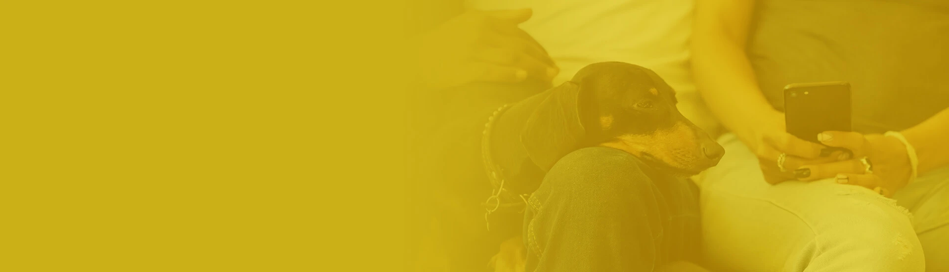 Central de Atendimento 24 Horas Santa Vida